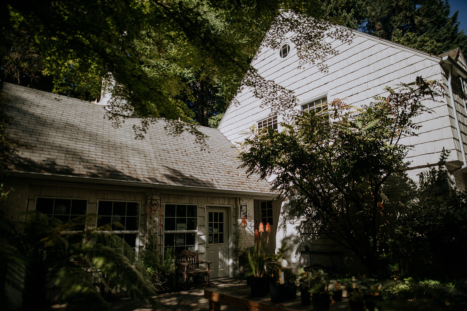 Laidback but Elegant Leach Botanical Garden Wedding | Rachel \u0026 Adam |  Marcela Pulido Photography, image size:1600x1067