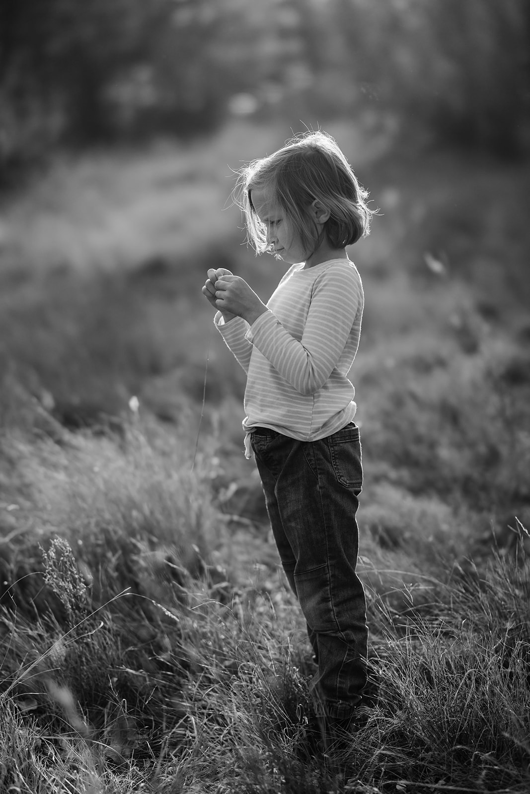 JR5_8581-2.jpg